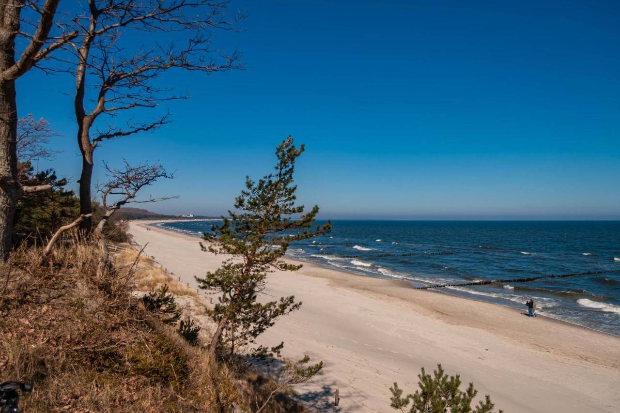 Apartment Ostseerose Ein Strandkorb Ist Im Sommer Inclusive Zempin Exterior foto